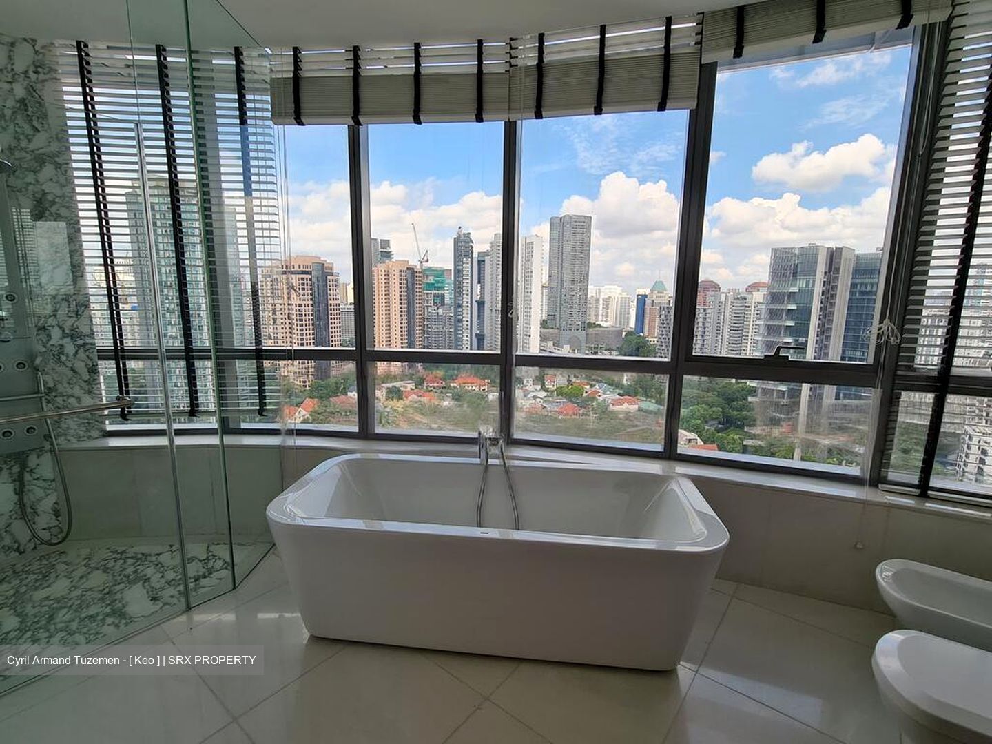 Cliveden At Grange (D10), Condominium #466919501